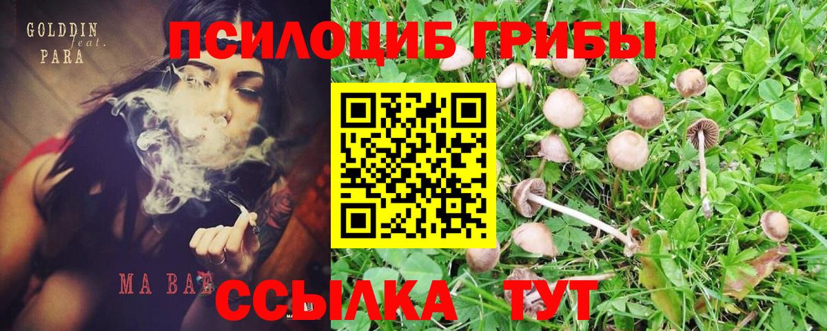 Галлюциногенные грибы мухоморы Можга