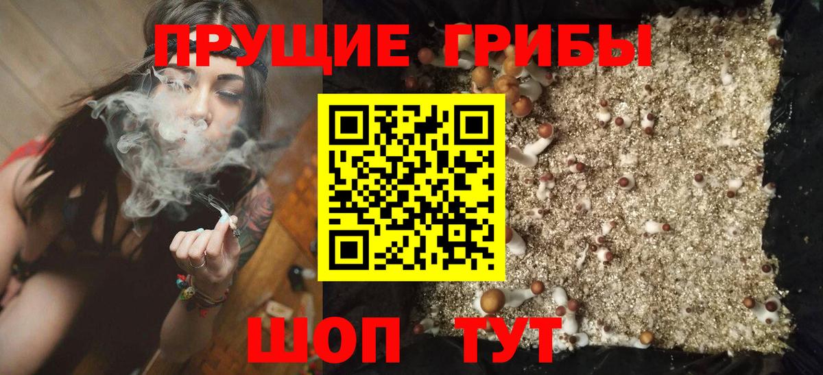 Можга  Псилоцибиновые грибы GOLDEN TEACHER  Вход с VPN  Псилоцибиновые грибы мицелий 